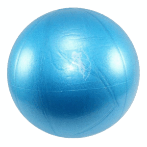 Franklin® Air Ball